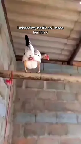 a present for you @mayridts  #CapCut 