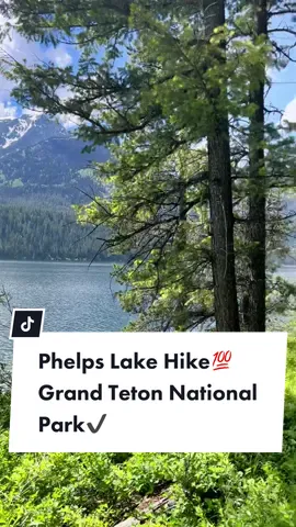 #hike #nature #grandtetonsnationalpark #fypシ #traveltiktok #Lifestyle #lifestyleblogger #wildlife #lake #phelpslake #bucketlist #PlacesToVisit #beautiful #hiketok #viral #adayinmylife 