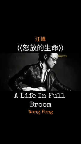 #怒放的生命 #汪峰 #中文歌 #chinesesong #mandarinsong #music 