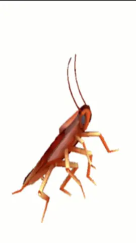 Spinning cockroach 😭