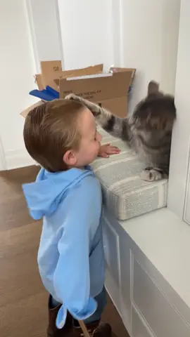 Smack 👹 & wave 👋🏻 #fyp #funnybabiesoftiktok #catsoftiktok 