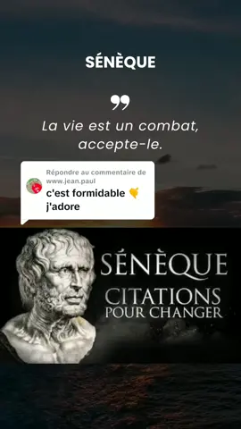 Réponse à @www.jean.paul Les citations inspirantes de SÉNÈQUE ✨ #apprendresurtiktok #philosophie #stoïcisme #seneque #bienetre #sagessedelavie #proverbe #inspiration #enseignements #reflexion #citation #sagesseancienne 