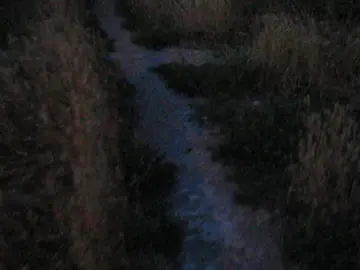 Everything feels so empty and bland. The world feels soulless and restrictive. All of my 'emotions' feel superficial and empty.. #foryou 