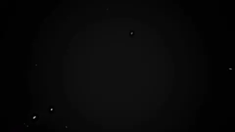 #😍🖤 #پردئ #fyp #foryou #tiktok #acting 