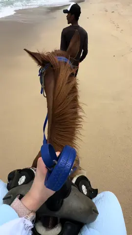 حلم وتحقق خيل وبحر 🐎🤍 #خيل #بوكيت #اكسبلور #تايلاند #فرس 