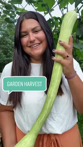 What should i make with alllll this zucchini? So many garden goodies! #gardenharvest #gardening #gardenwithme #gardeninghacks #growyourownfood #urbangarden #gardenvlog 