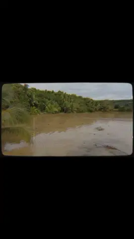 kawawang aso,naiwan ng amo sa kubo, subrang lakas pa naman ng baha... #fypシ #trending #keepsafeeveryone #flood 