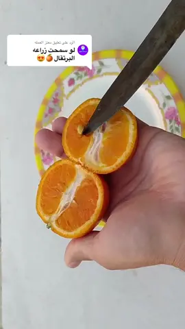 الرد على @معتز العمله orange 🍊 70 days in 18 seconds #timelapse #LearnOnTikTok #fyp 