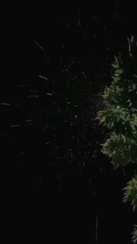 Nyatanya lagu galau emang lebih enak didenger daripada lagu bahagia 😁😁 #aftershine  #tutupono  #liriklagu #jowopride #gabut #fyp #fypシ #fypシ゚viral #masukberanda #masukberandafyp #storywa #storywakeren #galaustory #beranda #berandatiktok #berandafyp 