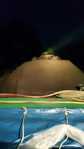 Đêm hôm qua 3ae chạy sa lan xuyên đêm, đêm hôm nay ôm chiếc ghe còn có 1 mình tui chạy là sao ta @Nghĩa Nguyễn 66-ĐT @🥑⚓️Khải kũn🇻🇳🪓 @Dien Le @vinhrau.ne1906 @lamanh665679 @tuanvo376 #66đồngtháp #cau3kute66 #team_vuive😜 #team_aesalan🚀 #ghecatmientay 