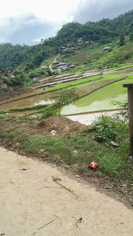 Video hơi nhanh ạ ❤️bình yên lắm 