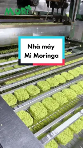 Mì Moringa (Chùm Ngây) được sản xuất như thế nào ??? Cùng chúng mình xem nhé 🫶🏻🫶🏻🫶🏻 #mimoringa #mori #michumngay #chumngay #mianlien #FoodFestOnTikTok 