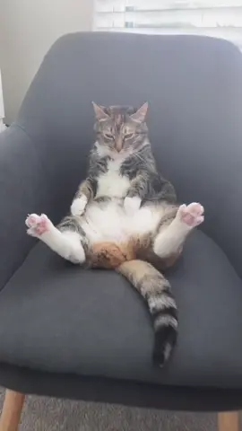 this new gunna got her acting different 🤧 #gunna #fukumean #cats #fyp