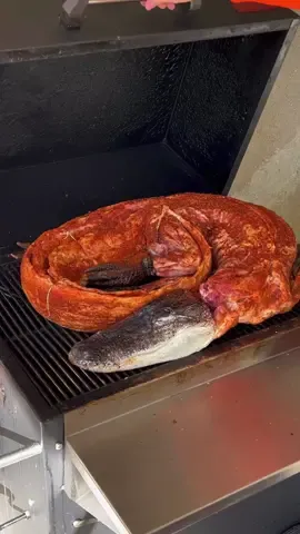 How to Smoke an Aligator 