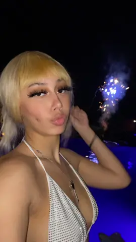 Happy 4th of Julyyy #SkyTheFinest #fyp #MissShakeBack 