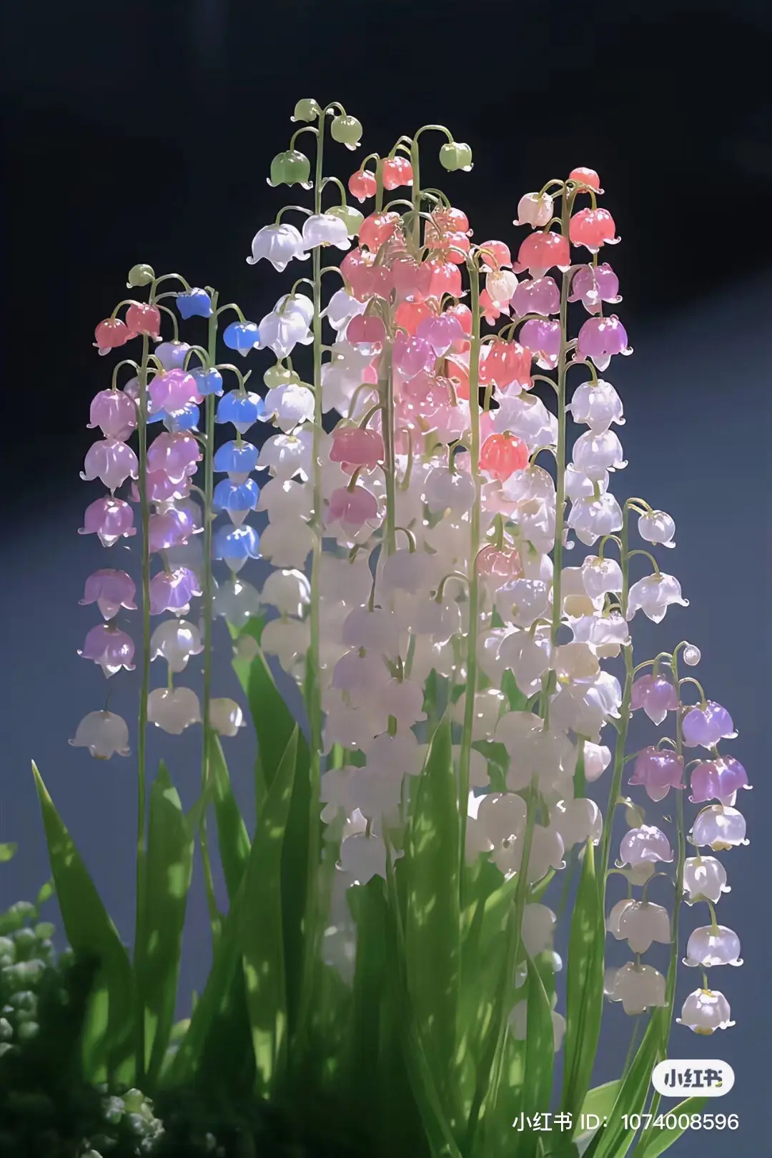 (p2) mn còn muốn thêm ảnh về hoa Linh lan thì cmt cho mình biết nha Cảm ơn mn đã thích video của mình. CRE: 小红书 #hoa #flowers #xuhuong 