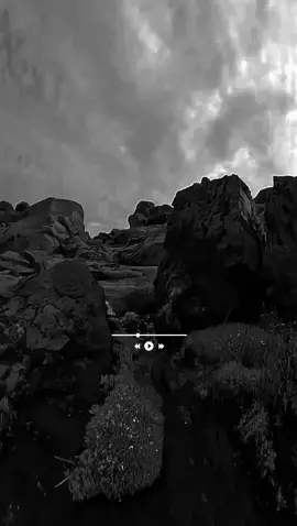 #قران #رعد_الكردي #سورة_الغاشية #اكتب_شي_تؤجر_عليه #AYAT 