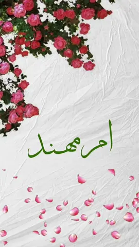 باسم ام مهند #تصميم #تصاميم_فيديوهات🎵🎤🎬 #fyp #fyp #एफ़ترند الاسماء#trending #TikTokPromote #مدح #تصميمي #لايك__explore___ 