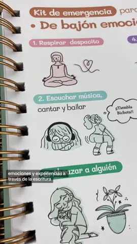 🌸180 días para sanar tambien es una forma de terapia en papel ✍️ #papelterapia #diariodegratitud #gratitudejournal #saludemocional #diariodesanación 