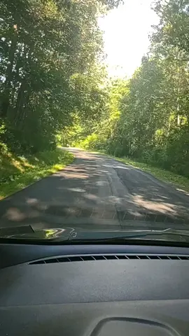 lets go for a drive 😁 #pennsylvania #backroad 