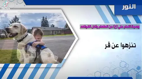 #يا #حديث #اللهم_صل_على_محمد_وآل_محمد #الله #علي #قرآن #الجنة #يا أمير المؤمنين ❤️🤍@قصص @لواء @اللّٰه هو الحب 