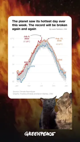 When earth may have just experienced its hottest day on record & people still don’t believe in climate change 😩 Chart Source: Climate Reanalyzer - CC BY-NC 4.0 #climatechange #heatwave #july4 #Summer #heatwaves #extremeheat 