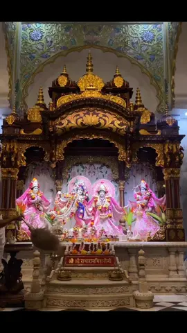 Hare Krishna🦚❤️🪷.! . . . .. . .. #Radhe Premi #Radhe_Premi #instagramindia #instagram #radhekrishna #radheshyam #reelkarofeelkaro #reels #instagrampost #dwarkadhish #krishnaflute #krishnapremi #krishnabhakti #krishna lame #shubham_lillariya #bhakti #merekanha #radhakrishna 