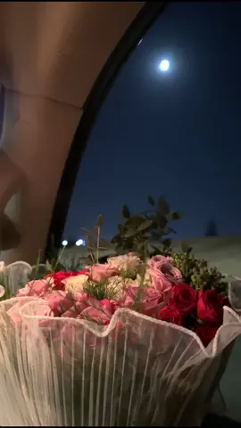 #أنت القمر في الشكل واللون #بدر_العزي #تصميم_فيديوهات🎶🎤🎬 #اكسبلور_تصميم_أبو_فراس_الحمدي