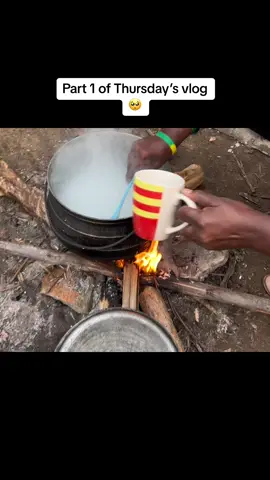 🥺🥱#Vlog #foryou #fypシ #fyp #loveyall💖 #springcleaningtime #homesweethome🏡 #21stbirthdayvibes #preparations #happythursdayeveryone 