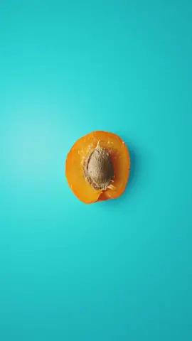 Have you ever seen the intricate details of an apricot pit? Enjoy this fascinating new adventure. #fruit #apricot #nature #microscope #macro #closeup #invisibleworld #discovery 