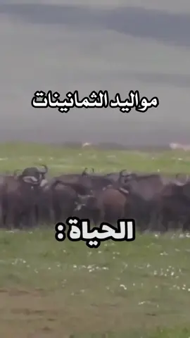 #fyp #foryou #اكسبلور #ضحك #وناسه #هاشتاق #الشعب_الصيني_ماله_حل😂😂 #الرياض  #الشعب_الصيني_ماله_حل #trend #مصر #هههههههههههههههههههههههههههههههههههههه #ترند_تيك_توك #الهاشتاقات_للشيوخ #ههه  #مواليد_الثمانينات #ضحك_وناسة #خبل #عيش  #fyppppppppppppppppppppppp 