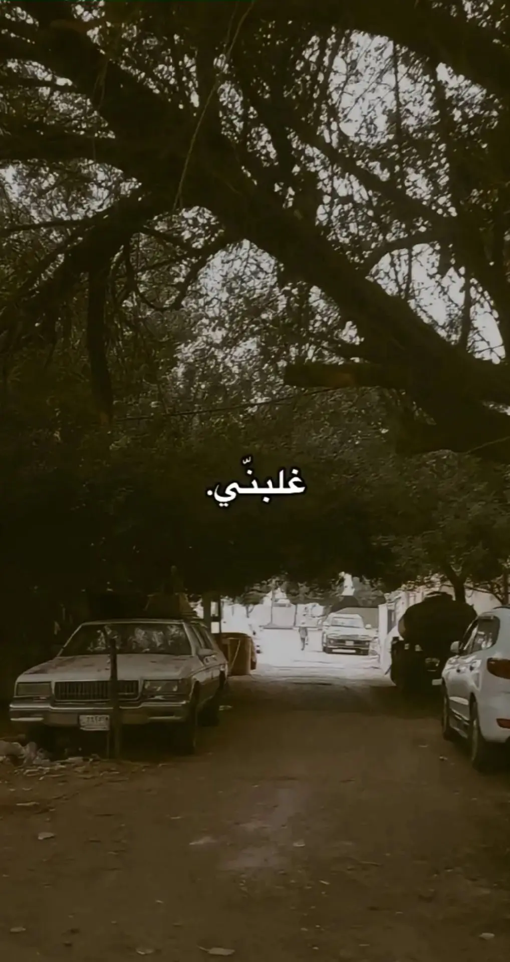 . . . . . . . . #ام_كلثوم #فيروز #عبد_حليم_حافظ #اغاني #تراث #١٩٨٨ #ايام_زمان #غناء_صوتي🎶🎤🎤🎤🎤 #قديم #تسعينات #بغداد #زمن_الطيبين 