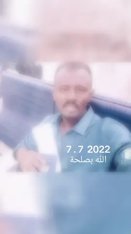 قطر الدوحة .. الجزيرة..ودالهندي...طيور الهجرة مهما تغيب مصيرا تلاقي أسرابا ❤️✨️🌺
