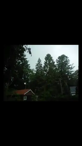 I love you harvey i dont careee #Viking #core #corecore #samsunges80 #camera #filmmaking #edit #alexg #nature #gratitude #colourgrading #harveyalexg #harvey 