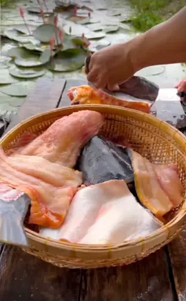 cá tra nhúng giấm mời cả nhà thưởng thức món ăn miền tây ạ.  #xuhuong #quêtôi #ẩmthựcviệtnam #lẩu_phim #đặcsảnmiềnsôngnước 