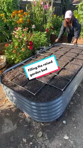 #sharing how I filled a raised garden bed from last summer. #gardening #raisedbed #raisedbedgarden 
