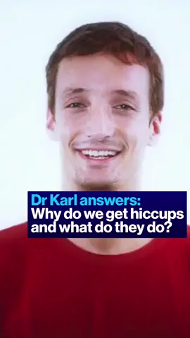 We all get hiccups but why? And what do they do? Dr Karl explains. #hiccups #explained #explain #human #humanbody #Science 