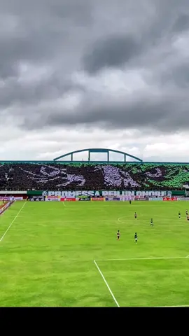 Promessa per un onore 🦅💚#pssvspersis #bcs #koreobcs #pssleman #pssday #fyp 