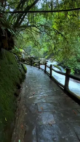 #scenery #foryou #travel #nature #water 