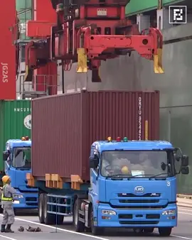 Devoted Sea Shipping Line