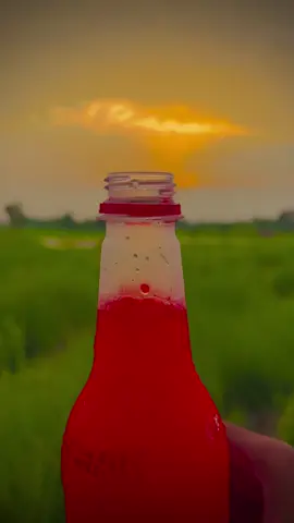 Sting se dil lga lia ha #salmanasghar082 #fyp #foryoupage #foryou #foryoupage #lines #muhammad #viewproblem #trending #law 