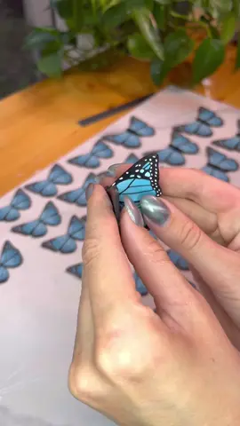 I even included the teardrops from her guitar! ✨ Okay, so I am going to see Taylor Swift next week and I also received a few messages requesting earrings for the eras tour. So I had to make some, I don’t know why I didn’t think to earlier! I remember when “Tim McGraw” and “Teardrops on my guitar” came out and I was such a little kid but still feeling all the feels. 😂 ✨🎉 The mini Eras Tour release will be available this MONDAY, June 10th at 4pm mst! Surprise! 😂 I still plan to do a full shop release later and this one will only include a few options. Thank you for all the inspiration through my story, I will be working on snakes next! 🐍 #erastour #earrings #jewelry #polymerclayartist #polymerclayearrings #lightbluebutterfly #butterfly #polymerclaycane #handmade #taylorswift 