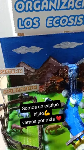 #nivelesdeorganizaciondelecosistema#maqueta#exposicionescolar #mamaehijo#trabajoenequipo😎😎 #ecosistema#