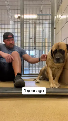 All she needed was love from a family she deserved! Congratulations Daisy!! Thank you @VetRed13 for giving her that family!!