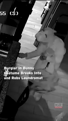 Cops in #Quincy, #Illinois, say someone wearing a #bunny costume broke into a #laundromat after hours and robbed the place. It could be a sign that the suspect was out of clean clothes and had to wear an old #Halloween costume to leave the house in decency.  Even investigators couldn’t believe what they were watching on the surveillance video of the incident, writing on #Facebook, “File this one under: You can’t make this stuff up.”