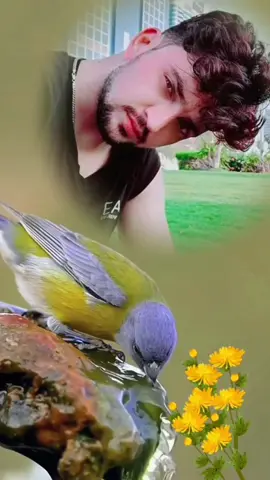 #viralvideo #foryoupage 