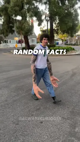 Did you know about these ? #curiosity #facts #randomfacts #LearnOnTikTok #factsyoudidntknow 