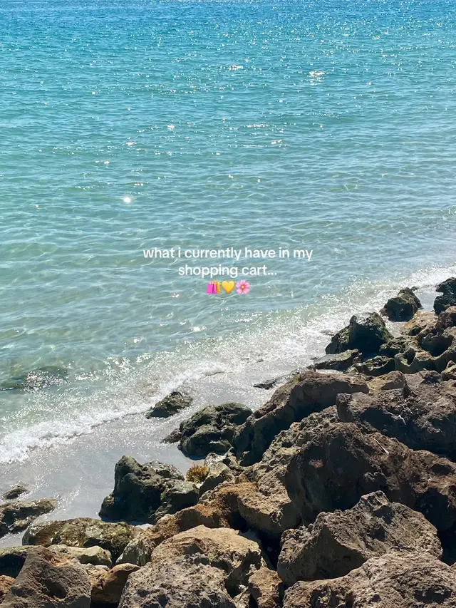 got paid today so u know what that means #shopaholic #calpak #hokas #hollister #birkenstocks #djerfavenue #summerinspo #outfitinsp #pinterestoutfits #travel #wishlist 