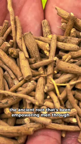 Introducing Ashwagandha, the ancient herb renowned for its incredible health benefits. Originating from Ayurvedic medicine, Ashwagandha has been used for centuries to support overall well-being and vitality. This powerful adaptogenic herb holds a special place in traditional medicine, and its popularity continues to grow in modern times. Ashwagandha, also known as Withania somnifera, is often referred to as the 