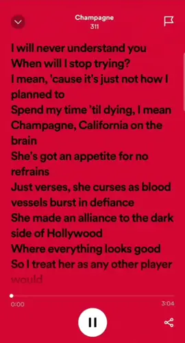 Champagne ( 311 ) #Spotify #Fullsong #Spotifylyrics #fyp #foryou #fypシ 